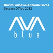 Because of You 2012 (Airplay Mix) artwork