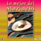 Tristes Jardines - Mariachi Los Cardenales De Pepe Esquivel lyrics