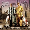 The Pitbulls artwork