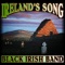 Irish Rover - Black Irish Band lyrics