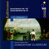 Grand Quintetto in A Minor, Op. 81: II. Andante Quasi adagio artwork