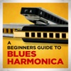 A Beginners Guide to Blues Harmonica, 2013