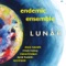Lilu - Endemic Ensemble lyrics