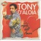 La mia libertà - Tony D'Aloia lyrics