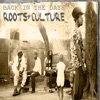 Back in the Days Roots & Culture (Platinum Edition), 2012