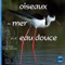 Guifette moustac (Whiskered Tern) - Sons de la Nature & Sounds of Nature lyrics