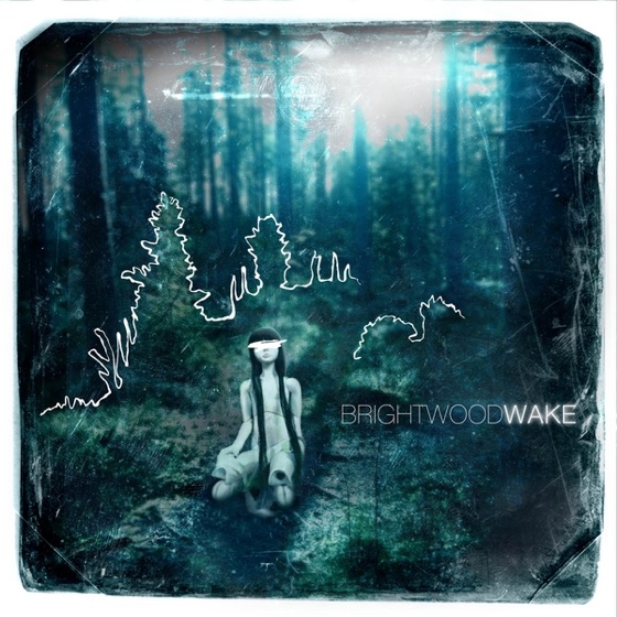 Cover artwork for Vis Major