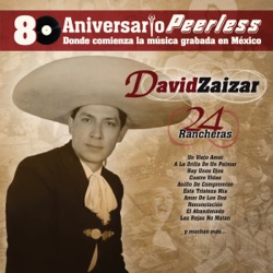 David Zaizar - El Corral de Piedra