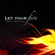 Let Your Fire - Kimberly & Alberto Rivera