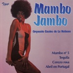 Mambo Jambo - Tequila