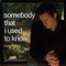 Somebody That I Used To Know - Gavin Mikhail lyrics