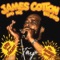 Cross Your Heart - James Cotton lyrics