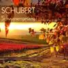 Stream & download Schubert: Schwanengesang