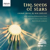 The Seeds of Stars (feat. Bob Chilcott) artwork