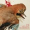 The Violent Husbands - Grandmother