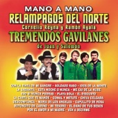 Los Tremendos Gavilanes - Botoncito de Cariño