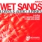 Wet Sands (Guy Mantzur Feathers Mix) - Lonya & Audio Junkies lyrics