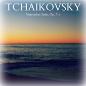Tchaikovsky - Nutcracker Suite, Op. 71a artwork