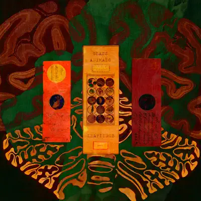 Leaflings - EP - Glass Animals