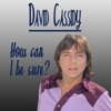 David Cassidy - Could It Be Forever