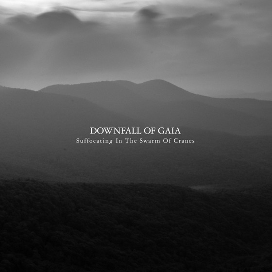 Cover artwork for Drowning By Wing Beats