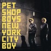 Pet Shop Boys
