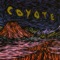 Sharing Your Soul With the Group - Coyote lyrics