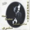 Besammoki el Amer - Hany Shaker lyrics