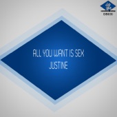All You Want Is Sex (Joe T Vannelli Slk Voice Mix) artwork
