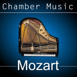Quatuor Griller - Quintette, En Sol Mineur, K. 516 : Menuetto (Allegretto)