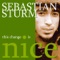 Reggae Makes the Youth Free - Sebastian Sturm lyrics