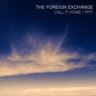 Call It Home / Pity - Single - The Foreign Exchange