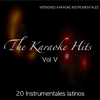 The Karaoke Hits Vol. 5 – Hits Instrumentales Latinos - Liev Karaoke Band