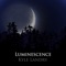 Luminescence (feat. Branden Angelucci) - Kyle Landry lyrics