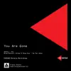 Stream & download You Are Gone - Single