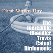 The Incredible Chandler Travis Catual Birdomonic - First Warm Day