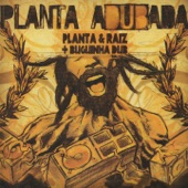 Planta Adubada artwork