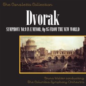 Dvořák: Symphony No. 9 in E Minor, Op. 95 "From the New World" artwork
