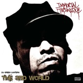 The 3rd World (feat. DJ Green Lantern) artwork