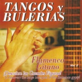 Flamenco Gitano - Tangos y Bulerías Vol. 2 artwork