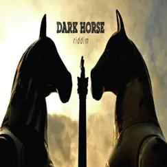 Dark Horse Riddim (Trinidad and Tobago Carnival Soca 2013) - Single by Various Artists album reviews, ratings, credits