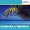 Carribean Afternoon - The Mick Lloyd Connection lyrics