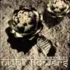 Night Flowers - Single album lyrics, reviews, download