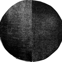 Despierta y Vence - Vicente Gayo