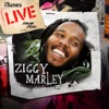 Ziggy Marley - Higher Vibrations