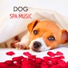 Dog Spa Music - Calming Relaxing Healing Music 4 your Dog Day Spa in Pet Salon