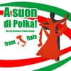 A SUON DI POLKA!The 30 Greatest Polka Songs from Italy