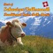 Uf dr Schützewiese (Marsch-Polka) - Kapelle Heidi Bruggmann lyrics