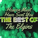 The Elgins - Heaven Must Have Sent You