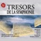 Symphony No. 1 in E Minor, Op. 1: Andante tranquillo artwork